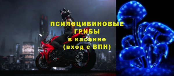 спайс Аркадак