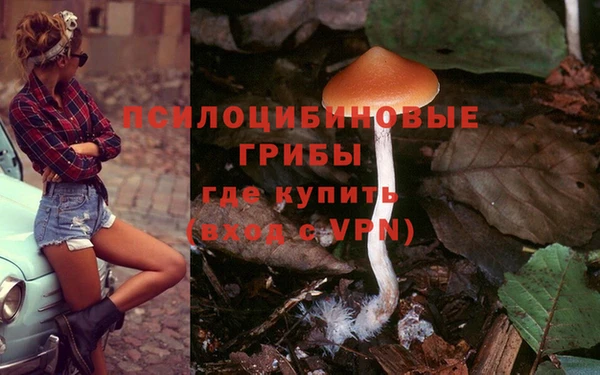 mdpv Арсеньев
