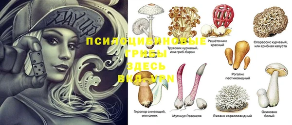 mdpv Арсеньев