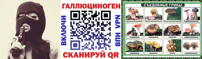 OMG зеркало маркетплейс какой сайт Псилоцибиновые грибы Psilocybine cubensis Макаров